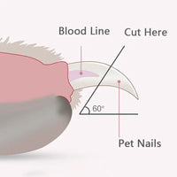 Akasora LumiClip™ – LED Pet Nail Clippers